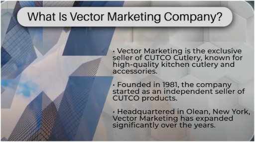 What Does Vector Marketing Do