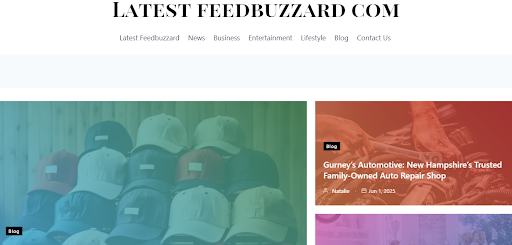 What Is The Latest FeedBuzzard Com