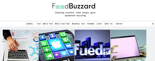 What Is FeedBuzzard Com