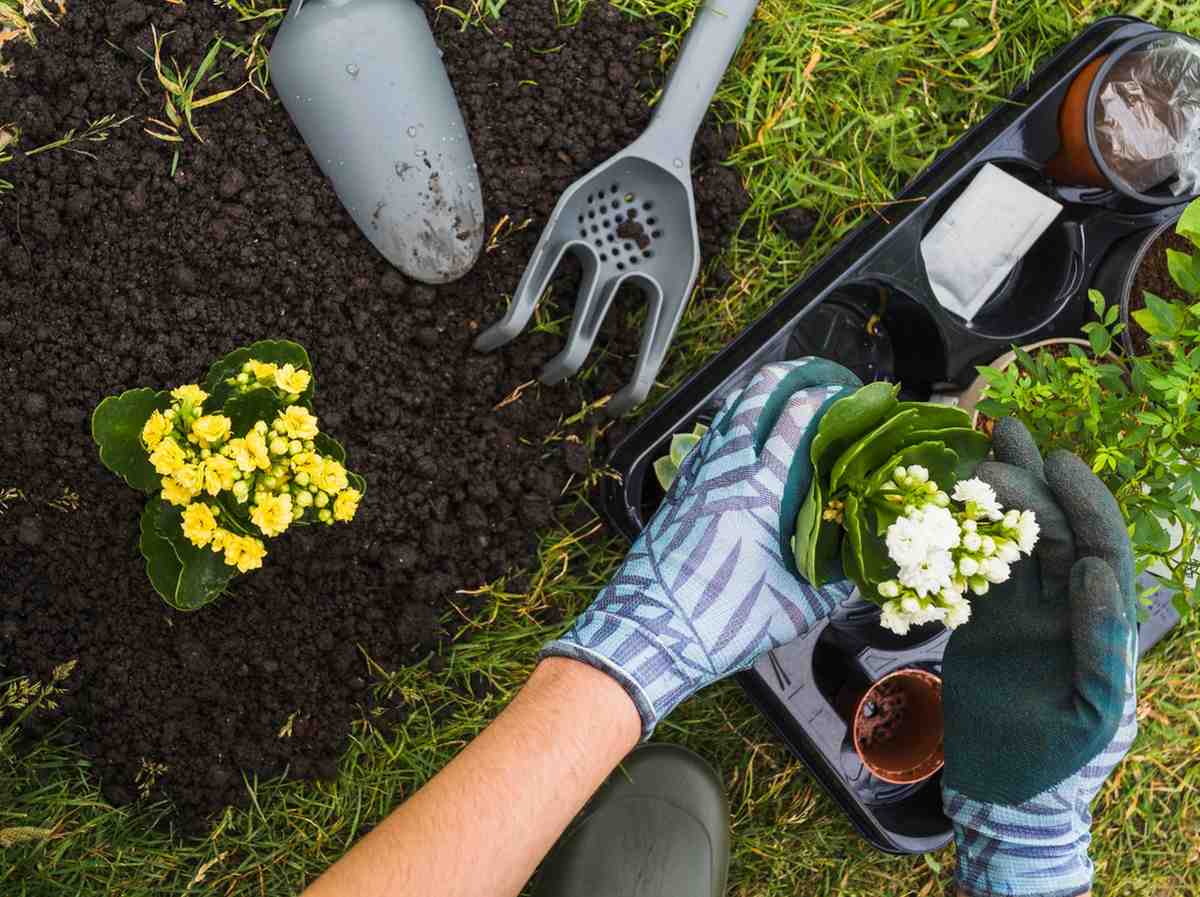 How Do You Maintain a Decade Garden Over Time