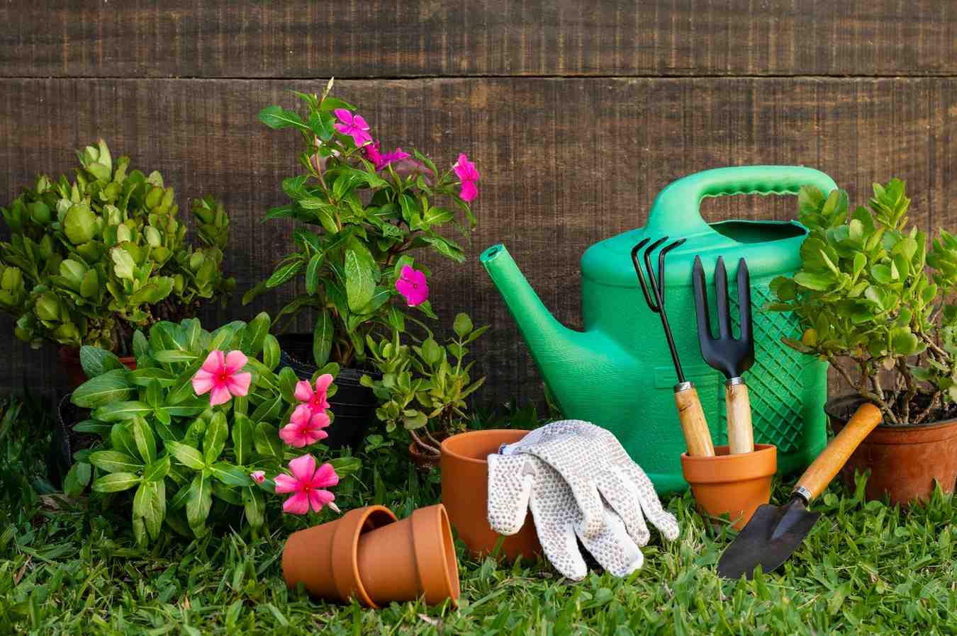 How to Plan a Decade Garden That Lasts