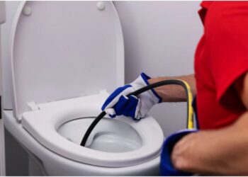 The Essential Guide to Preventing Blocked Toilets